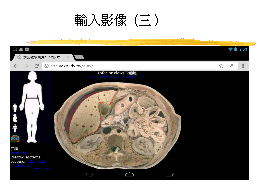 輸入影像（三）